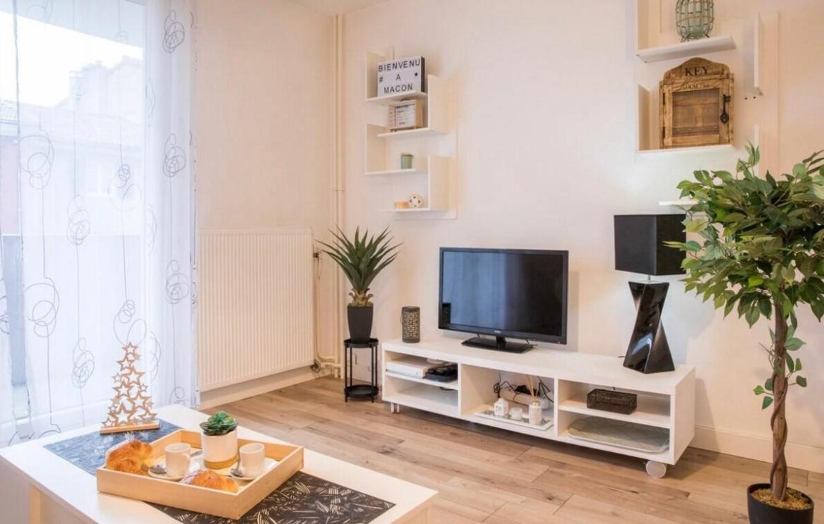 Charmant Appartement T1 Macon Exterior photo